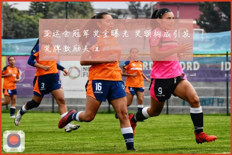 亚运会冠军奖金曝光 奖额构成引发奖牌激励关注