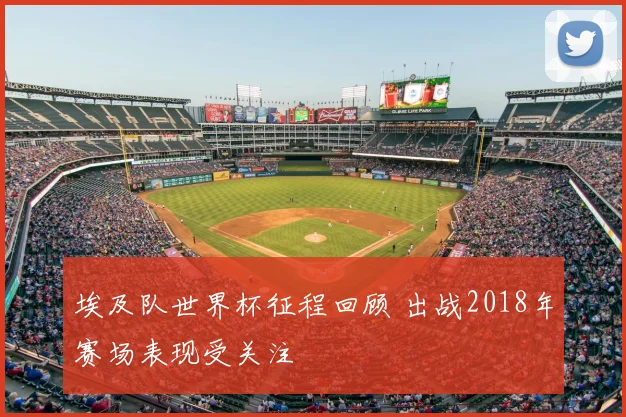 埃及队世界杯征程回顾 出战2018年赛场表现受关注