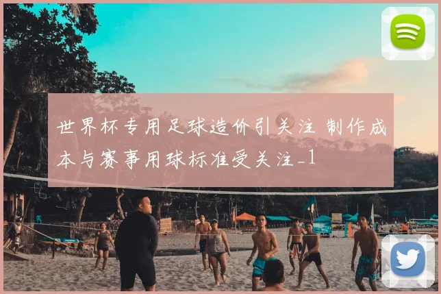 世界杯专用足球造价引关注 制作成本与赛事用球标准受关注_1