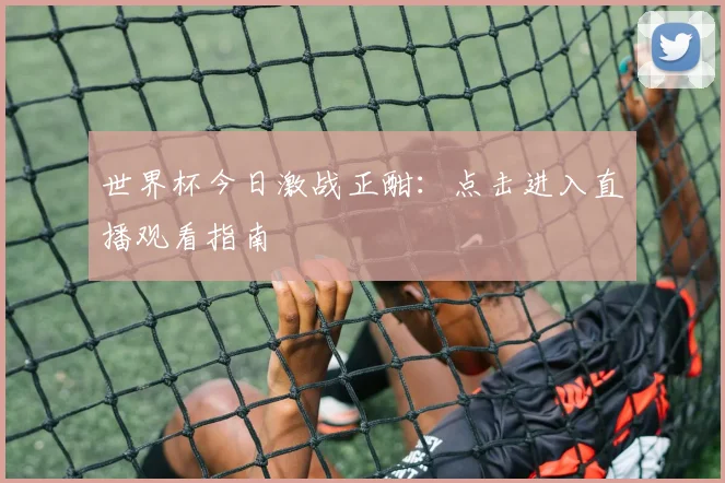 世界杯今日激战正酣:点击进入直播观看指南